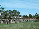 T400,T409,Koonwarra