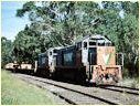 T400,T409,Meeniyan