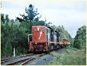 T400,T409,Buffalo