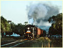 K183,Langwarrin