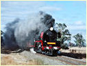 R761,Wal Wal