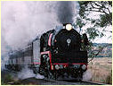 R707,Gordon,Wallce