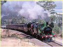 Y112,R707,Daisy Hill
