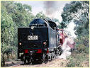 J549,Muckleford,Castlemaine