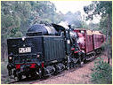 J549,Muckleford,Castlemaine