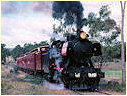 J549,Muckleford,Castlemaine