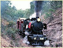 J549,Muckleford,Castlemaine