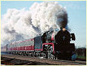 R707,Little River