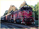 T377,T376,Macedon