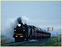 D363,K183,Rockbank