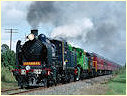 K190,K183,T345,Cranbourne