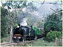 K190,K183,T345,Nyora