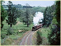 K183,Nyora