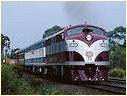 GM36,Seymour