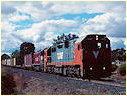 P15,N456,Naganbie