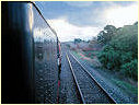 R761,Riddells Creek