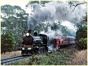 D3 639,Nyora