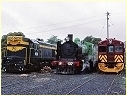 T345,K190,Redhen,Korumburra