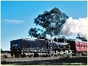 D3 639,Leongatha