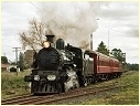 D3 639,Nyora