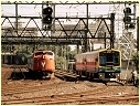 A66,Sprinter,North Melbourne