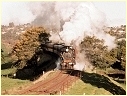 D3 639,Korumburra