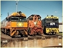 NR85,Y151,8179,South Dynon