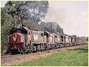 X54,T379,X52,X53,T371,X54,Leawarra