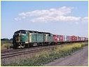 CLF2,GM42,Gheringhap
