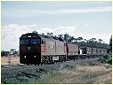 G540,Miram