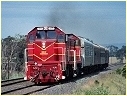 T377+T376,Riddells Creek