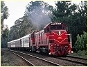 T377+T376,Macedon