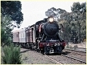 J515,Seymour