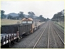 NR7,Tallarook