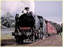 K183,Frankston