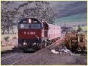 N465,Gordon