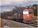 G526,Yendon