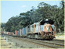 X50,Broadford