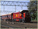 T377,North Melbourne