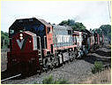 X45,4836,X38,Seymour