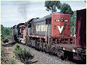X45,4836,X38,Seymour