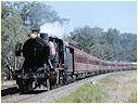 J515,Longwood