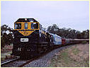 Y133,T320,Mangalore
