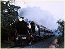 J515,Mooroopna