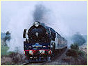 R711,Creswick