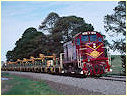 T381,Maroona