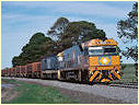 NR97,8122,Maroona