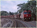 G524,Gisborne