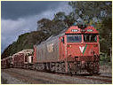 G524,Macedon