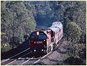 N464,Kangaroo Flat